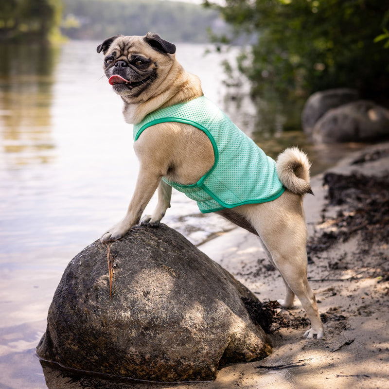 Load image into Gallery viewer, Elasto-Fit Ice Vest - Aqua

