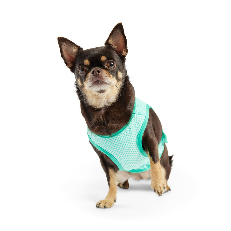 Load image into Gallery viewer, Elasto-Fit Ice Vest - Aqua
