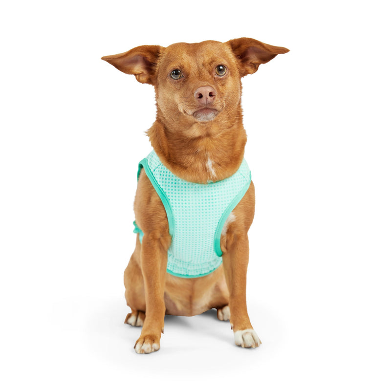 Load image into Gallery viewer, Elasto-Fit Ice Vest - Aqua
