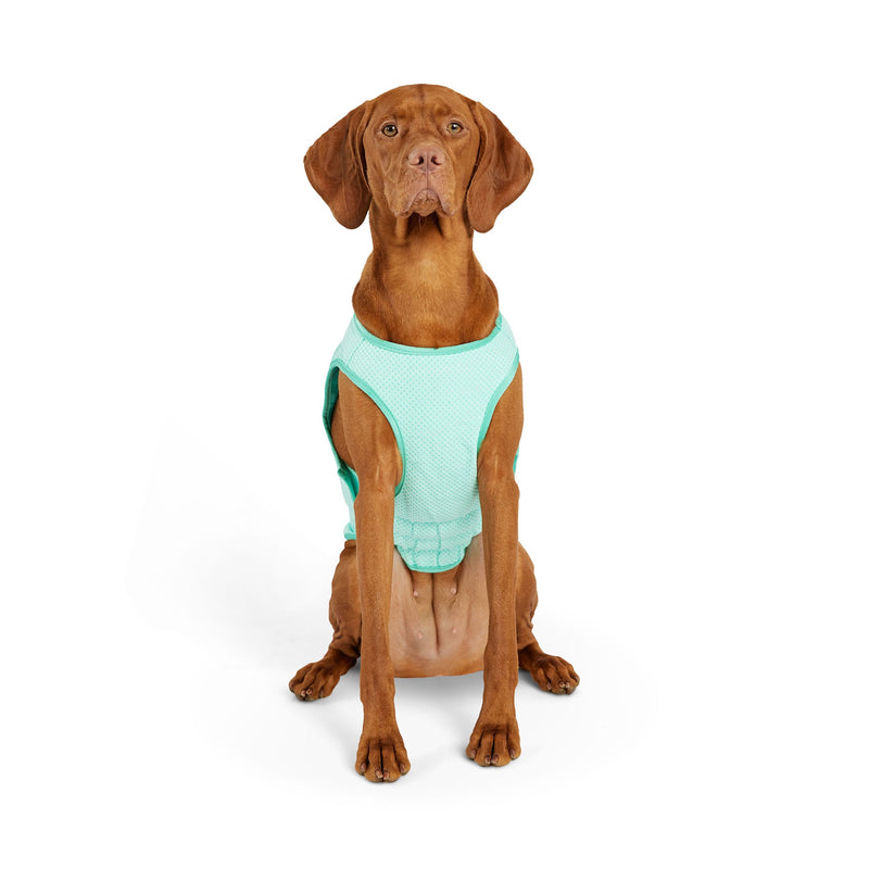Load image into Gallery viewer, Elasto-Fit Ice Vest - Aqua

