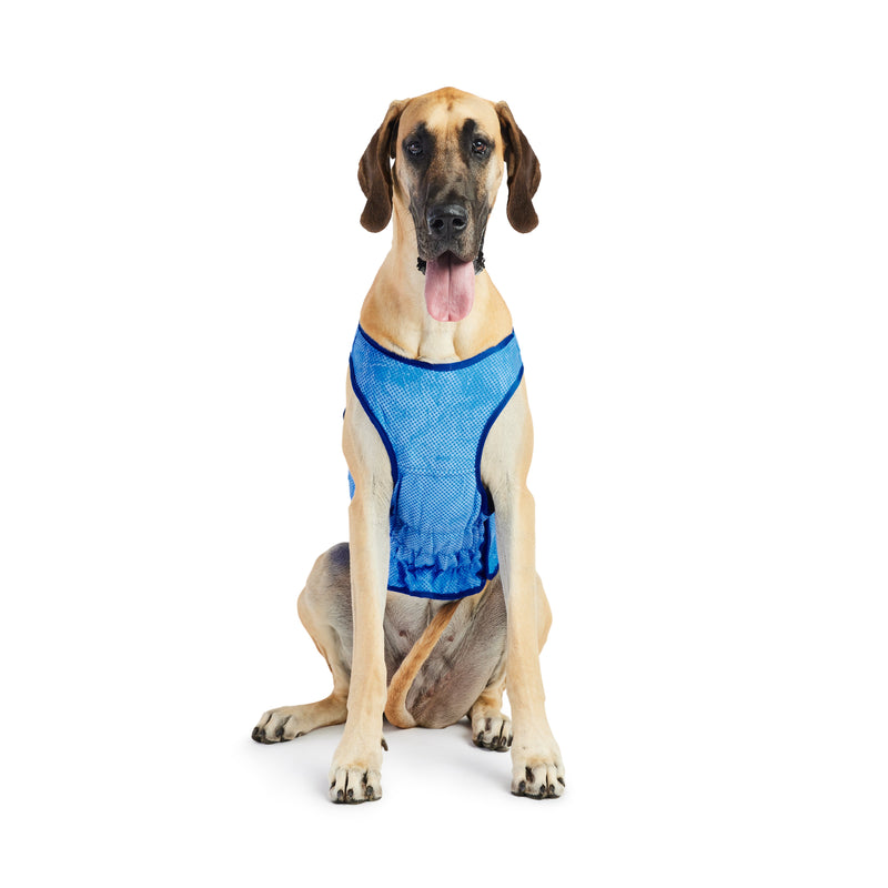 Load image into Gallery viewer, Elasto-Fit Ice Vest - Blue
