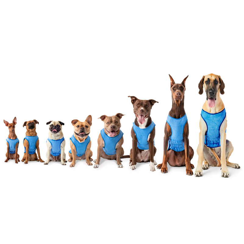 Load image into Gallery viewer, Elasto-Fit Ice Vest - Blue
