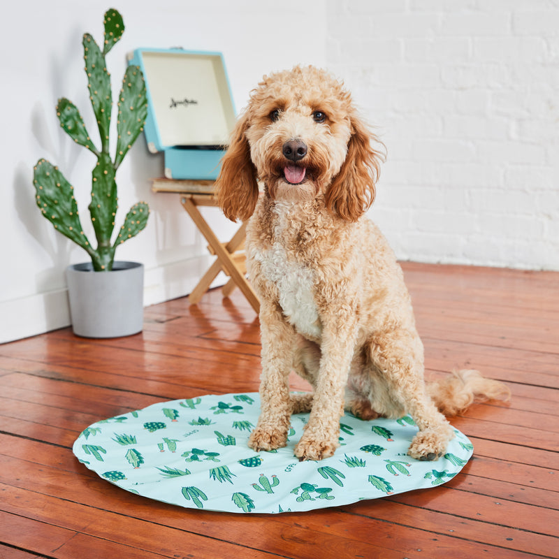 Load image into Gallery viewer, GF Pet Ice Mat
