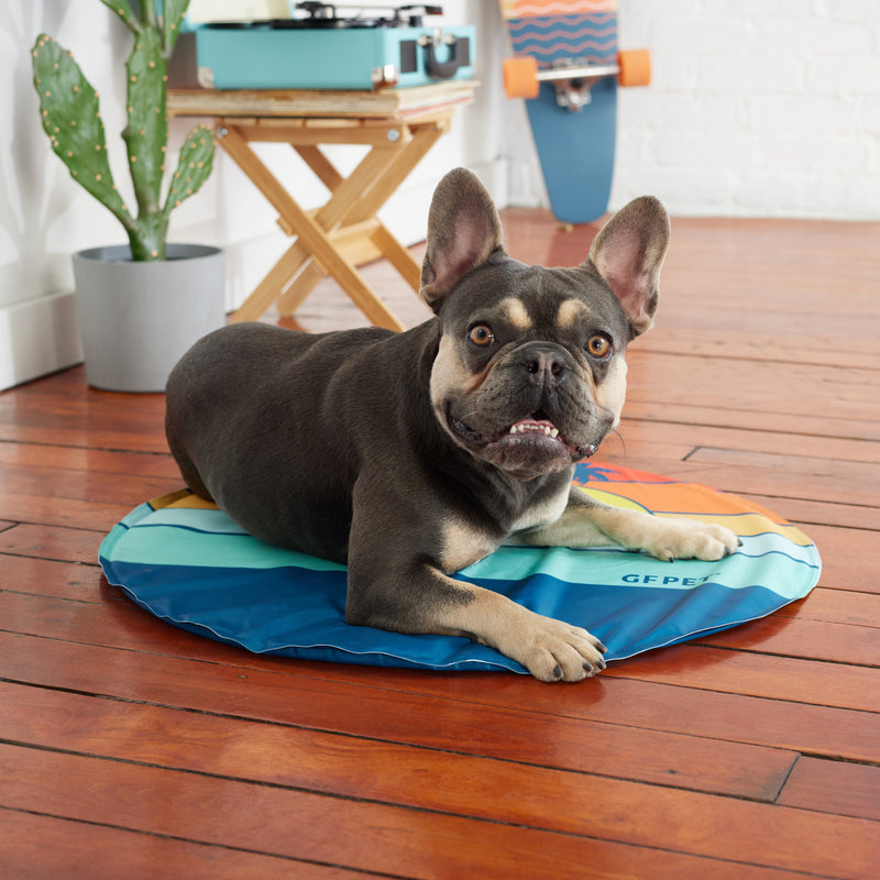 Load image into Gallery viewer, GF Pet Ice Mat
