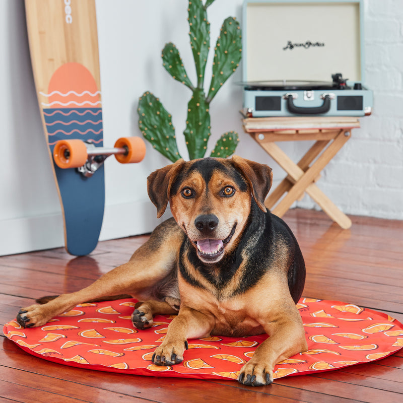Load image into Gallery viewer, GF Pet Ice Mat
