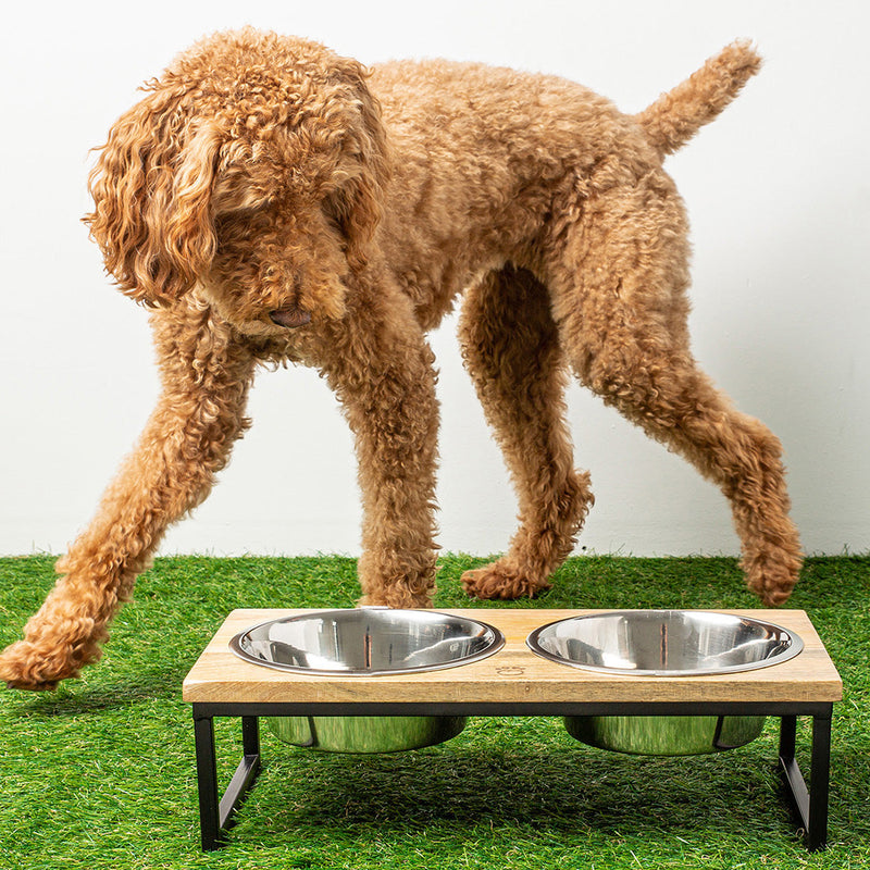 Load image into Gallery viewer, Wood &amp; Metal Elevated Feeder
