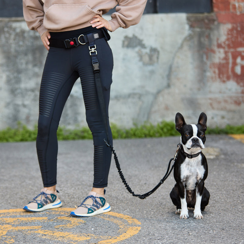 Load image into Gallery viewer, Waist Belt &amp; Bungee Leash
