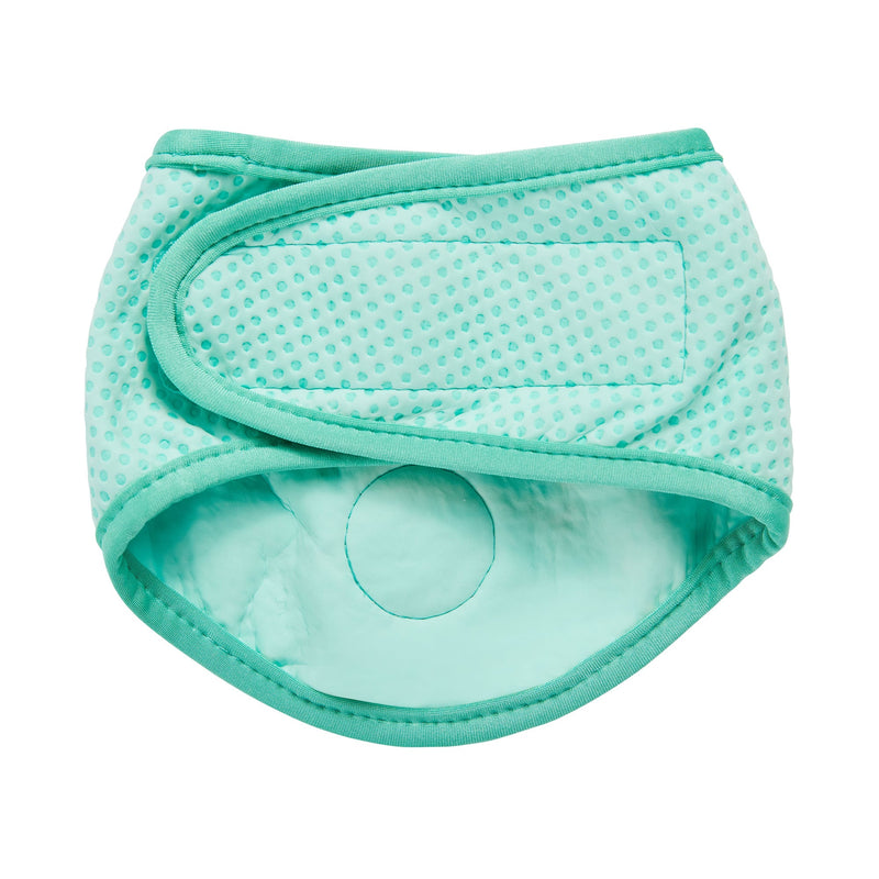 Load image into Gallery viewer, ICE BAND - Dog Cooling Bandana - Aqua
