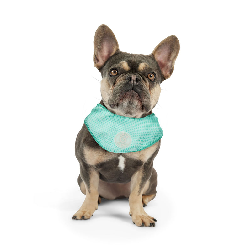 Load image into Gallery viewer, ICE BAND - Dog Cooling Bandana - Aqua
