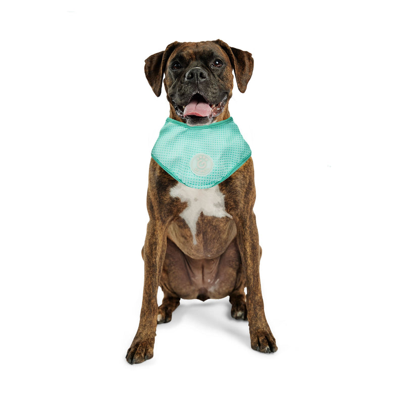 Load image into Gallery viewer, ICE BAND - Dog Cooling Bandana - Aqua
