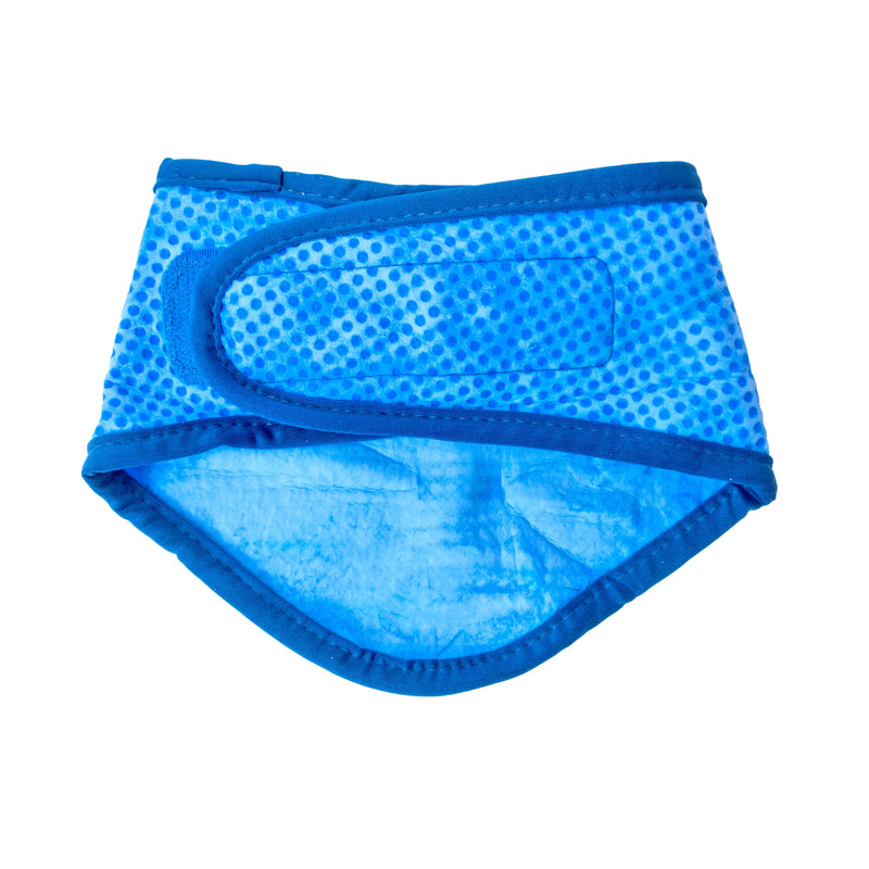 Load image into Gallery viewer, ICE BAND - Dog Cooling Bandana - Blue
