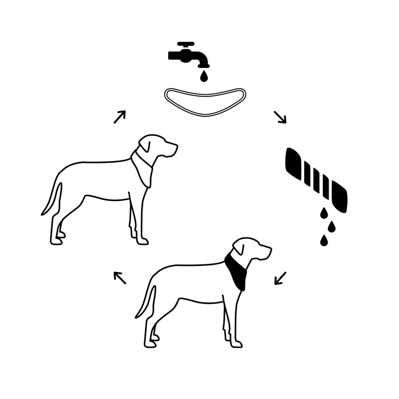 Load image into Gallery viewer, ICE BAND - Dog Cooling Bandana - Blue
