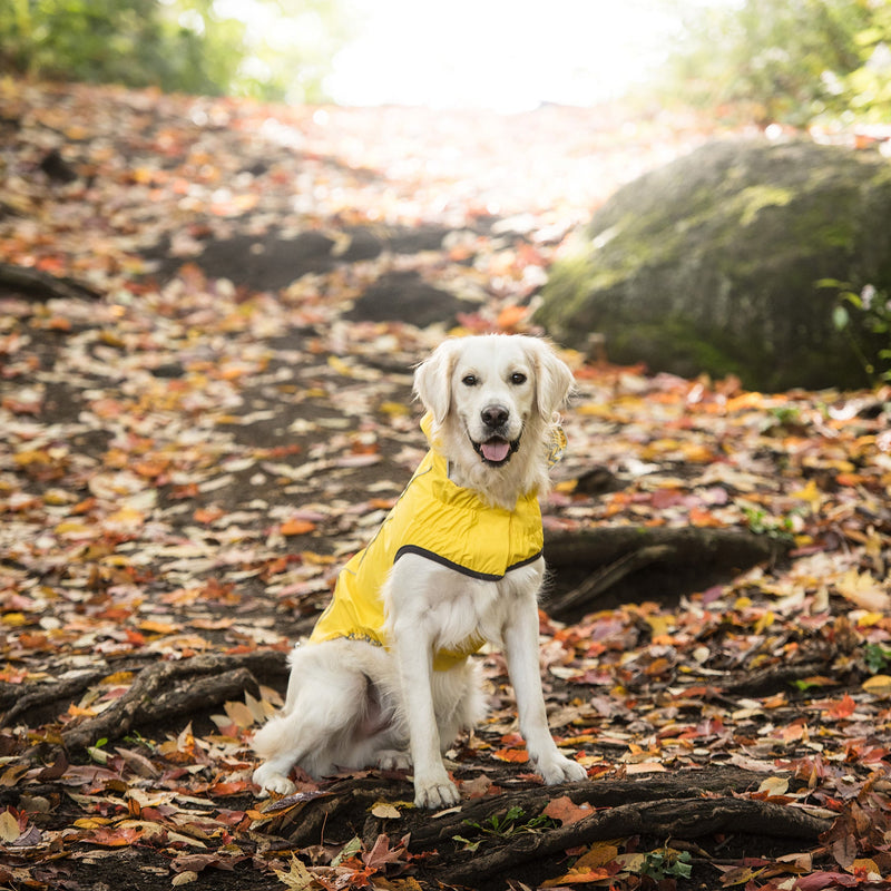Load image into Gallery viewer, Reversible Elasto-Fit Raincoat - Yellow
