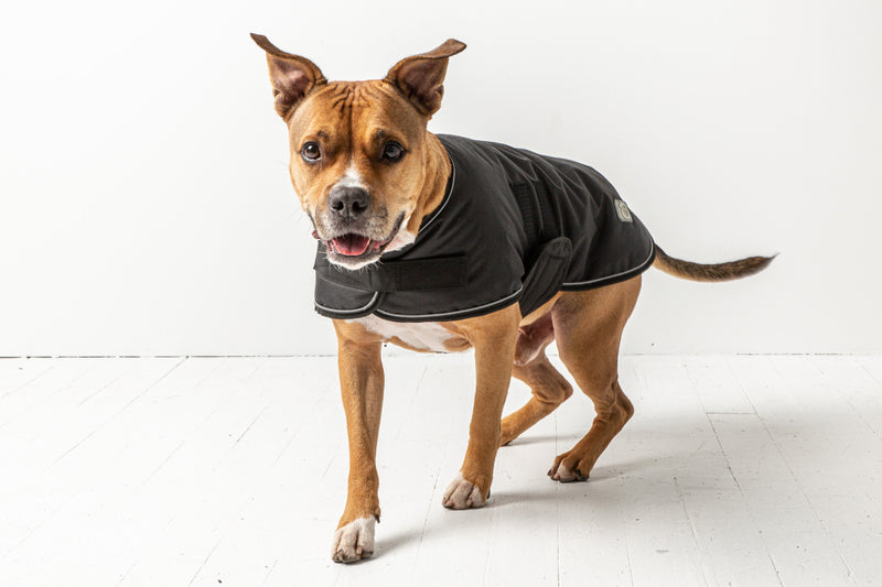 Load image into Gallery viewer, Blanket Jacket - Black
