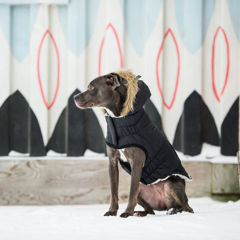 Load image into Gallery viewer, Urban Parka - Black
