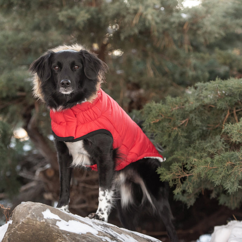 Load image into Gallery viewer, Urban Parka - Red
