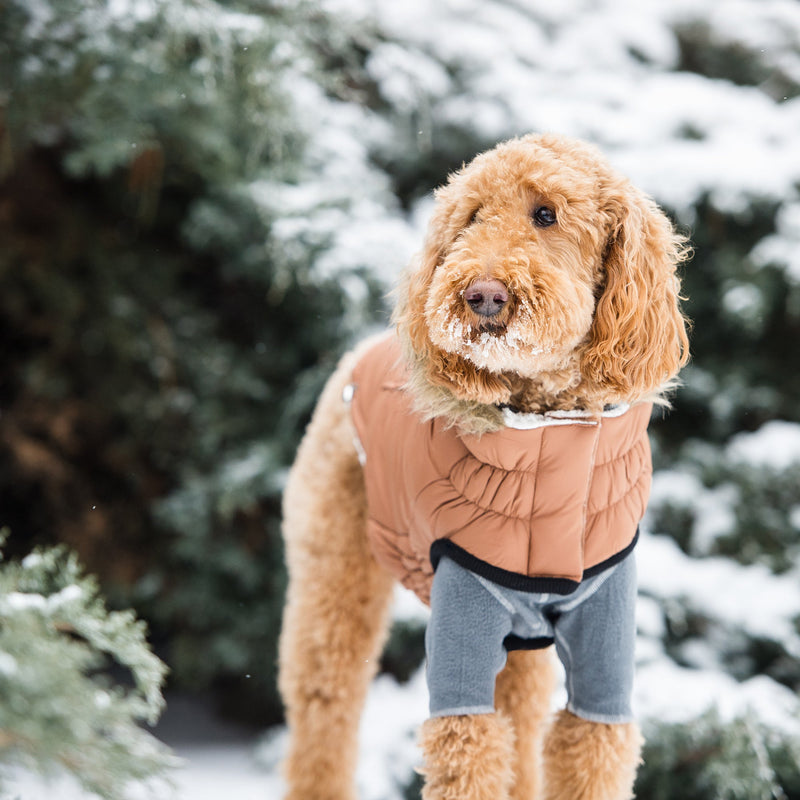 Load image into Gallery viewer, Urban Parka - Caramel
