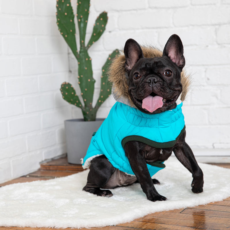 Load image into Gallery viewer, Winter Sailor Parka - Aqua
