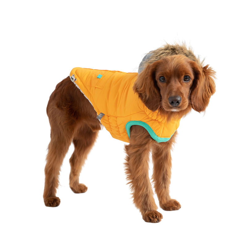 Load image into Gallery viewer, Winter Sailor Parka - Yellow
