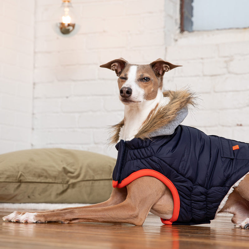 Load image into Gallery viewer, Winter Sailor Parka - Navy
