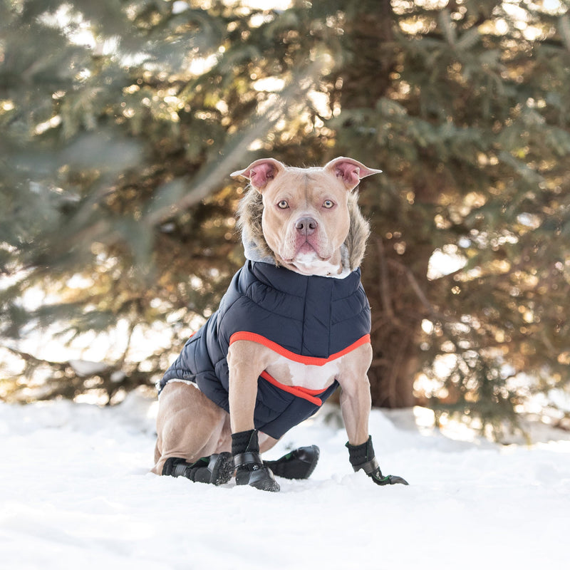 Load image into Gallery viewer, Winter Sailor Parka - Navy
