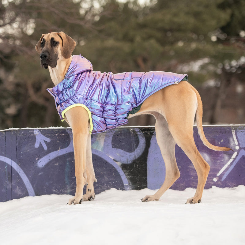 Load image into Gallery viewer, Recycled Parka - Iridescent
