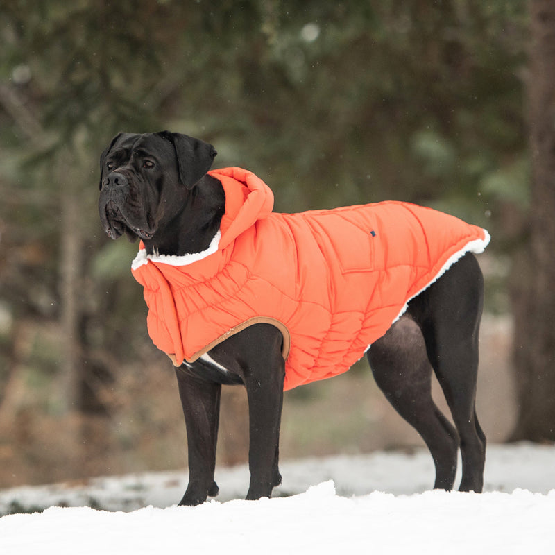 Load image into Gallery viewer, The Puff Parka - Orange
