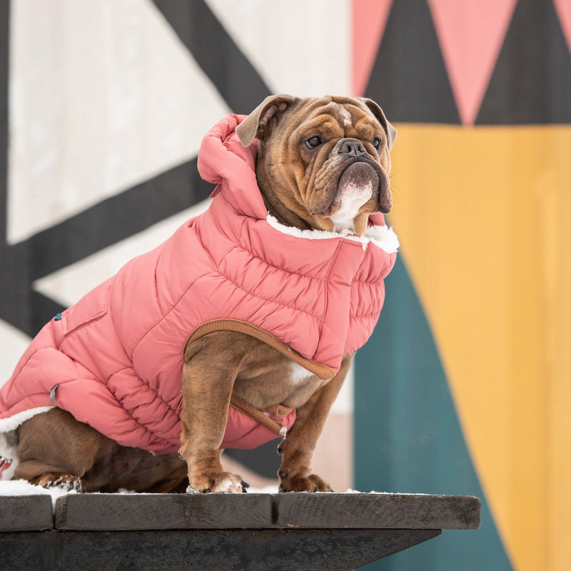 Load image into Gallery viewer, The Puff Parka - Pink
