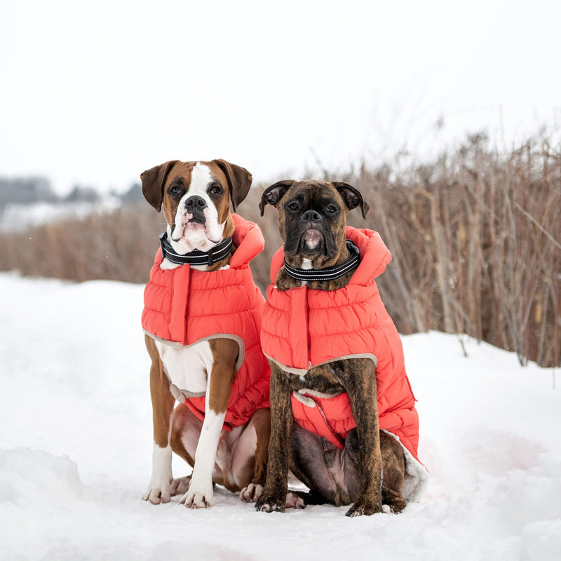 Load image into Gallery viewer, Nordic Parka
