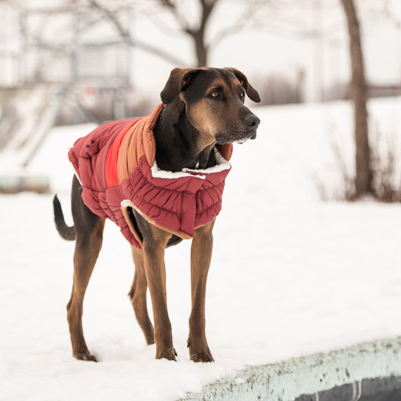 Load image into Gallery viewer, Retro Puffer - Dark Red
