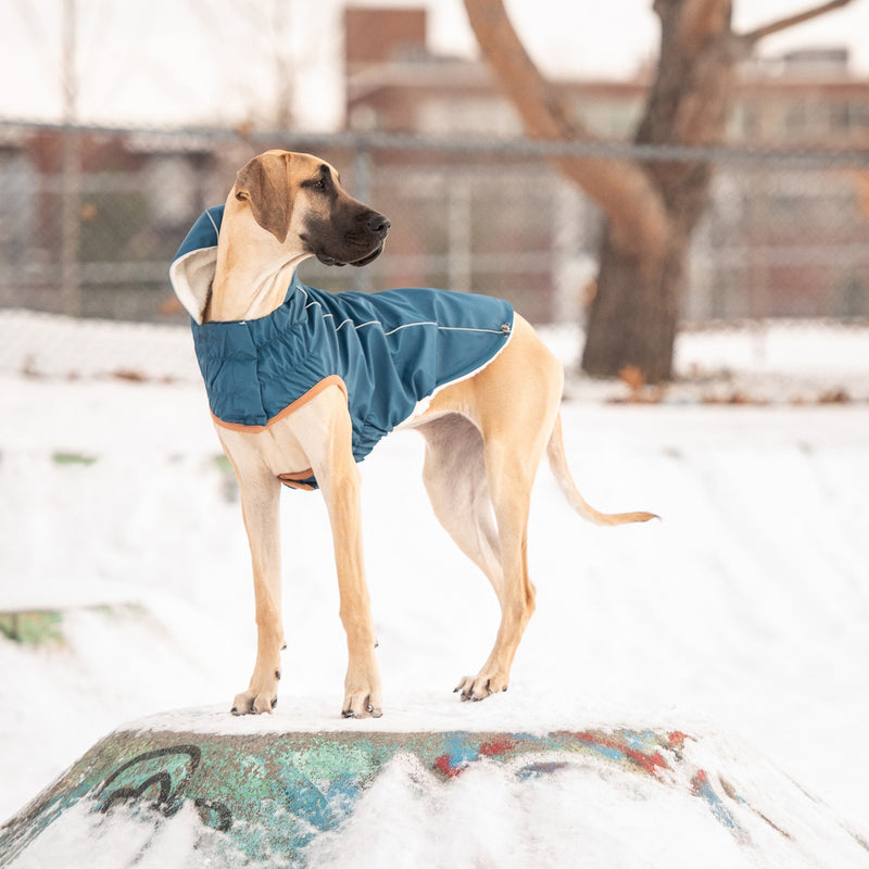 Load image into Gallery viewer, Insulated Raincoat - Dark Blue
