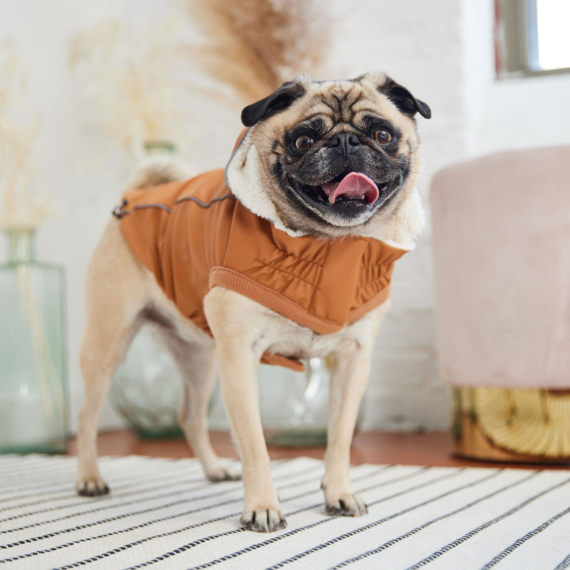 Load image into Gallery viewer, Insulated Raincoat - Hazel
