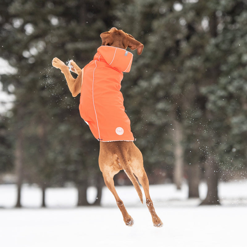 Load image into Gallery viewer, Insulated Raincoat - Orange
