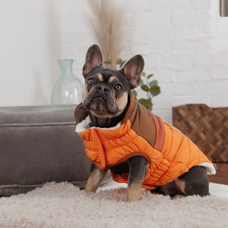 Load image into Gallery viewer, Camplife Puffer - Orange
