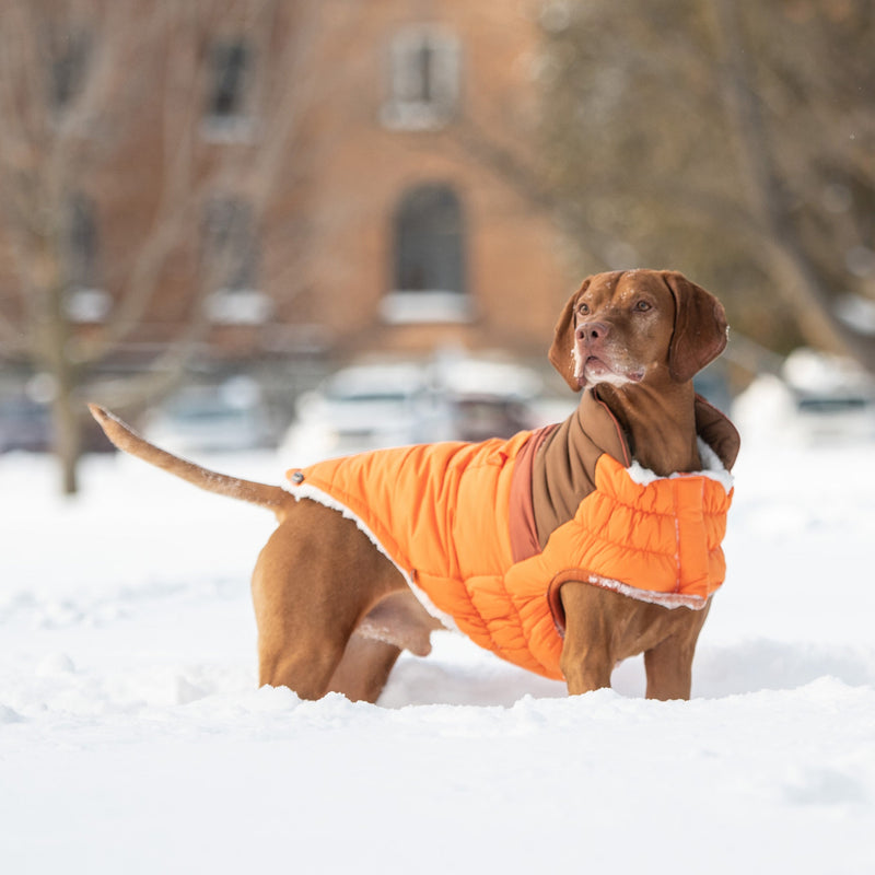 Load image into Gallery viewer, Camplife Puffer - Orange
