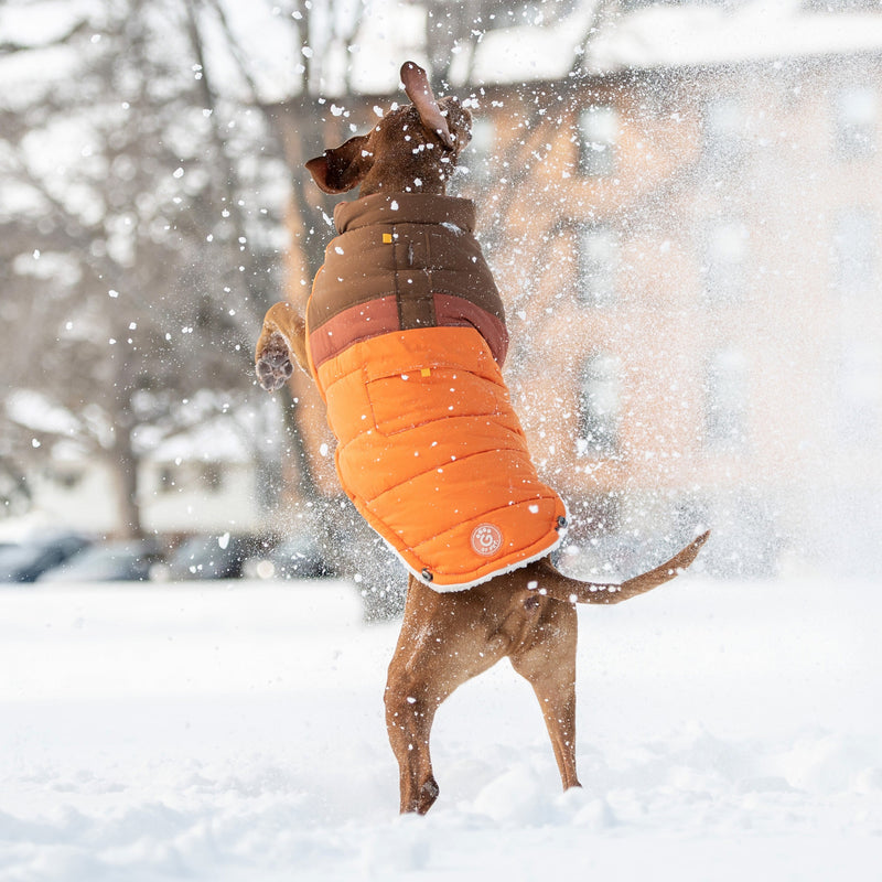 Load image into Gallery viewer, Camplife Puffer - Orange
