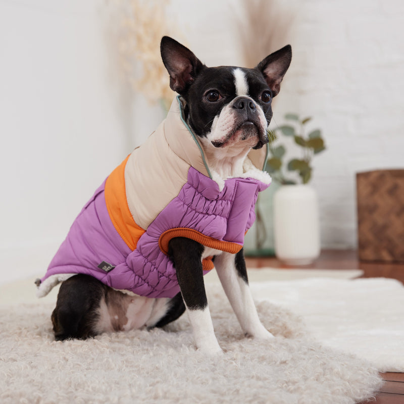 Load image into Gallery viewer, Camplife Puffer - Purple
