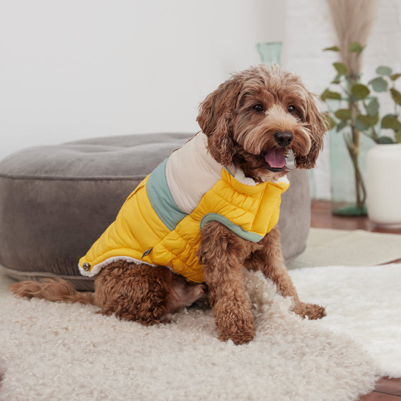 Load image into Gallery viewer, Camplife Puffer - Yellow
