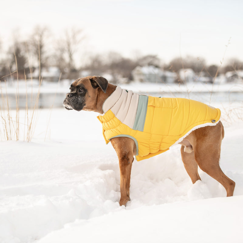 Load image into Gallery viewer, Camplife Puffer - Yellow
