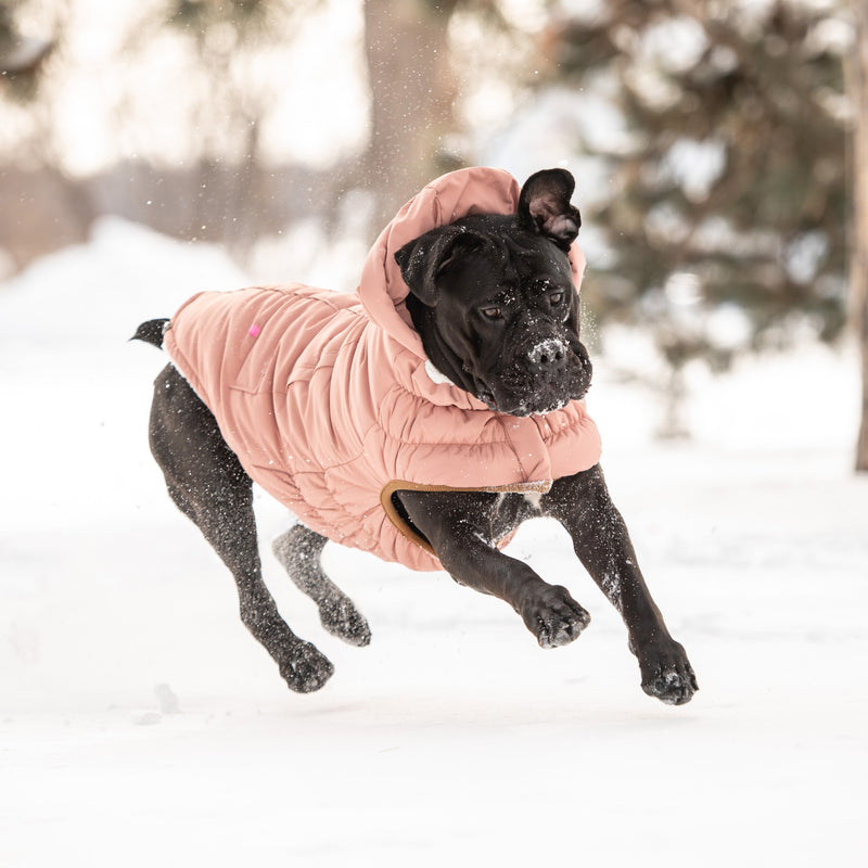 Load image into Gallery viewer, Arctic Parka - Clay
