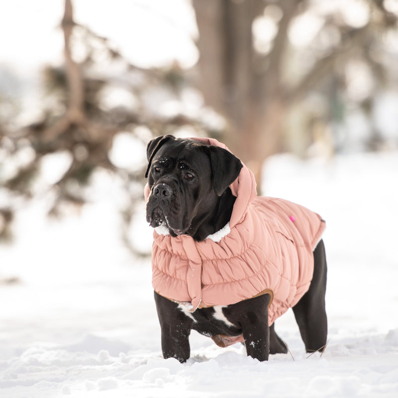 Load image into Gallery viewer, Arctic Parka - Clay
