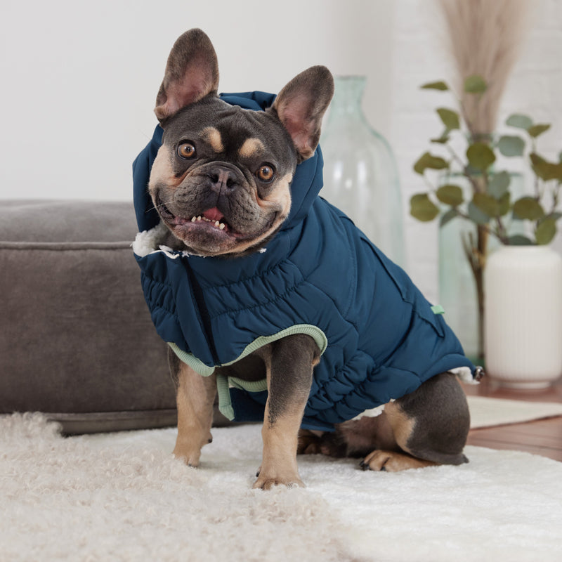 Load image into Gallery viewer, Arctic Parka - Teal
