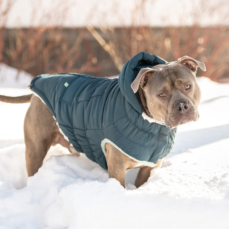 Load image into Gallery viewer, Arctic Parka - Teal
