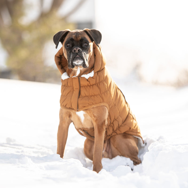 Load image into Gallery viewer, Arctic Parka - Wood

