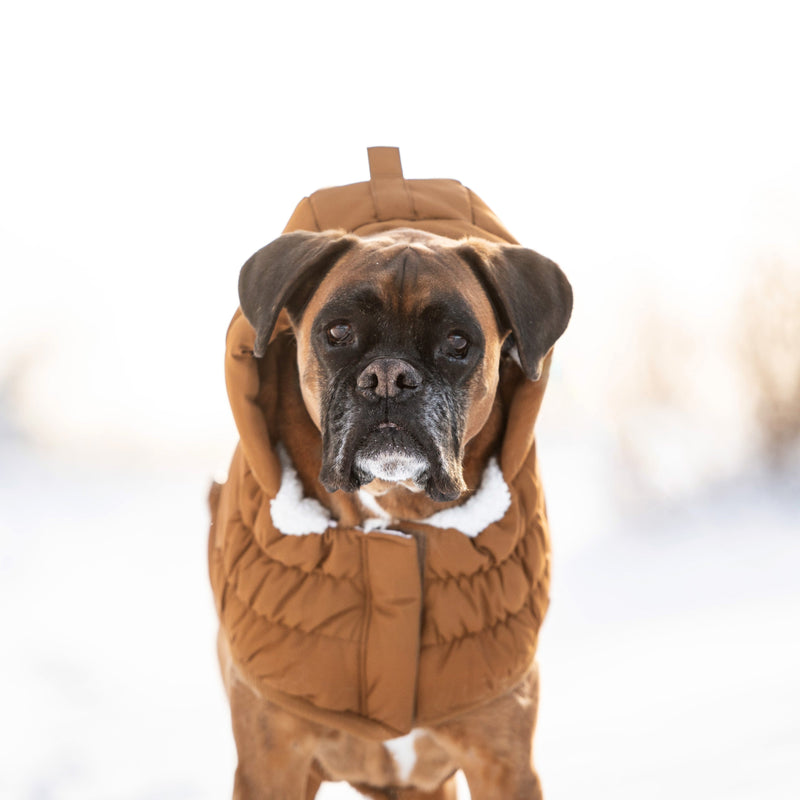 Load image into Gallery viewer, Arctic Parka - Wood

