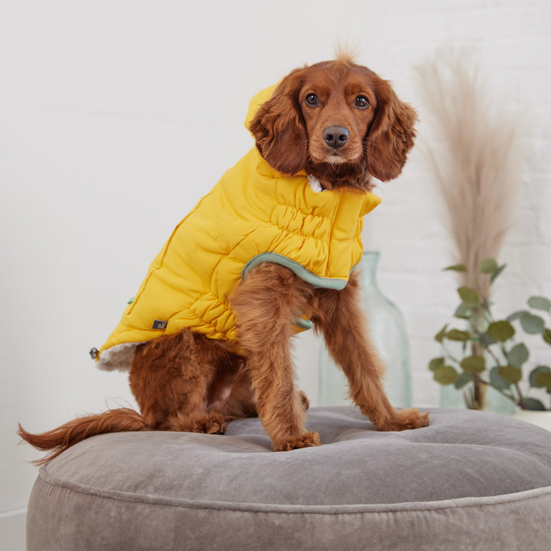 Load image into Gallery viewer, Arctic Parka - Yellow
