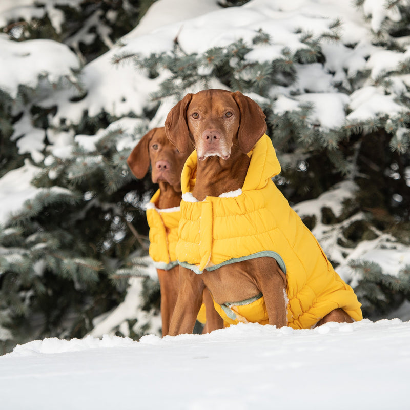 Load image into Gallery viewer, Arctic Parka - Yellow
