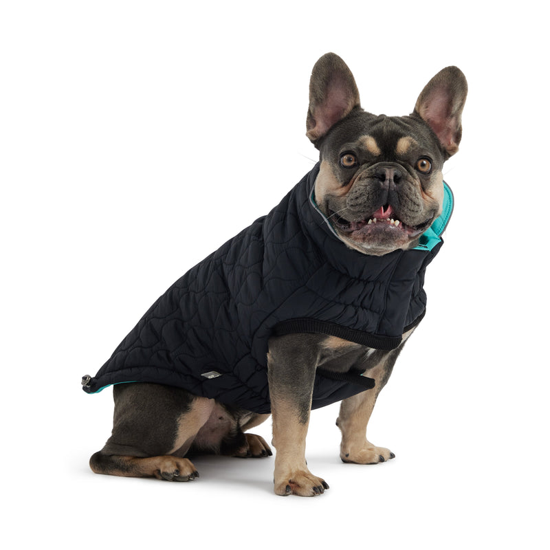 Load image into Gallery viewer, Reversible Chalet Jacket - Black/Aqua
