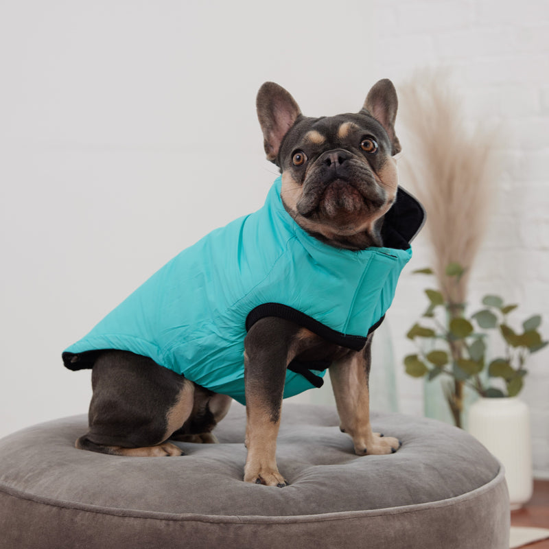 Load image into Gallery viewer, Reversible Chalet Jacket - Black/Aqua
