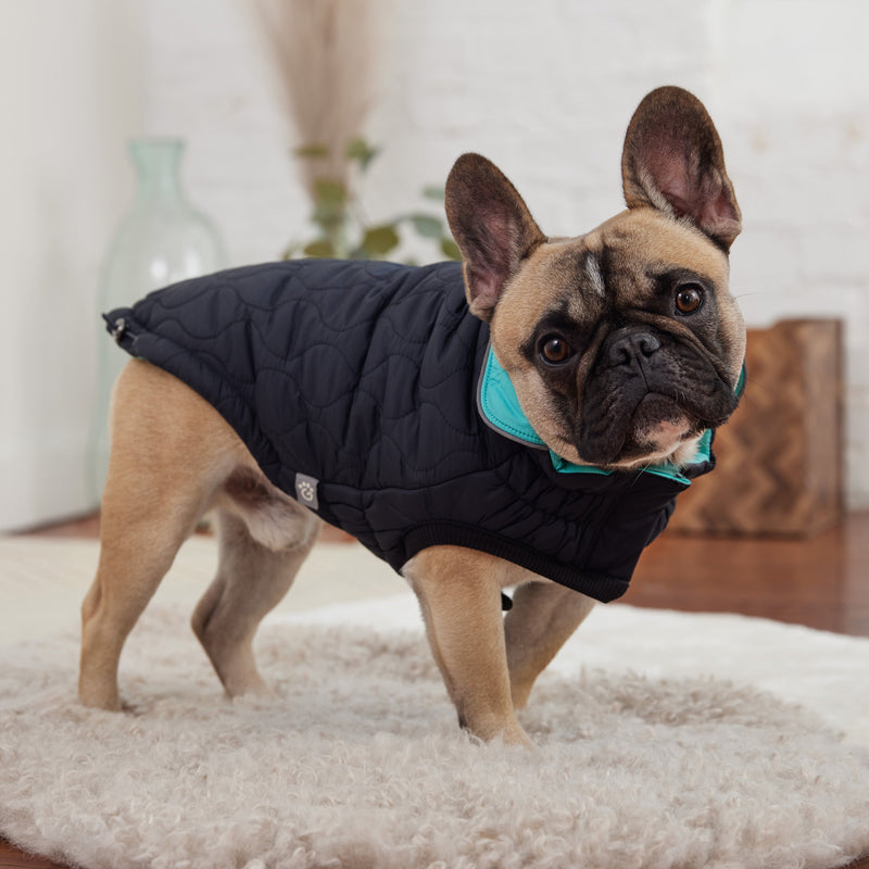 Load image into Gallery viewer, Reversible Chalet Jacket - Black/Aqua

